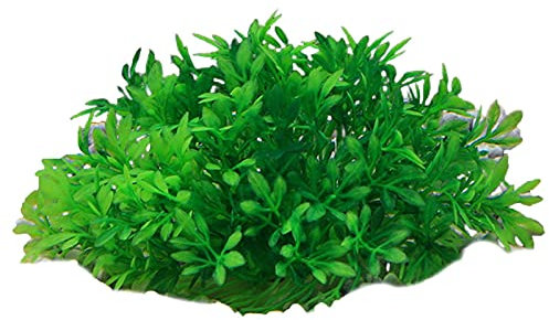 Plantes aquatiques en plastique pour aquarium - Décoration d'aquarium - Fausse herbe décorative pour fête de jardin