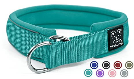 Weich Neopren Gepolstert Hundehalsband (4cm Breite) Reflektierend Hund Halsband mit Robust Nylon & Zugstopp, Bequem Zughalsband Dressurhalsband für Kleine Mittlere Große Hunde Anti-Zug Walken M,Grün