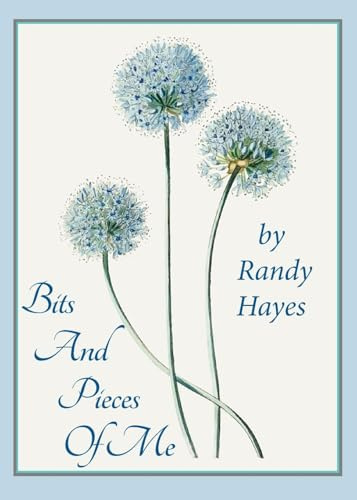Bits And Pieces Of Me