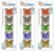 Bead Storage Solutions Elizabeth Ward 5 Piece Craft Organizing Storage Containers for Small Beads, Crystals, and Fasteners, Clear (3 Pack)