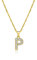 Zelaro Halskette Damen mit Buchstaben | Kette Gold & Kette Silber mit Zirkonia Buchstaben Anhänger Kette mit Buchstaben Geschenk für Frauen Geburtstag | Verstellbare Halskette in Gold (Gold P)