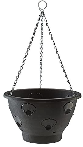 Thompson & Morgan Bloomaround Hanging Basket Garden Planter Plant Container with Water Reservoir for Flowers, Vegetables and Fruits from (30cm, Single)