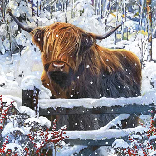 Pack of 8 Highland Cow British Heart Foundation Charity Christmas Cards Xmas Cards 556965