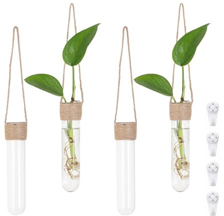 Hewory Terrarium Plant Propagation Station: Wall Hanging Test Tube Vases for Flowers, Indoor Propagators, 4pcs Glass Planter Hydroponics for Plant Gifts, Wall Decor, Home Office, Windowsill