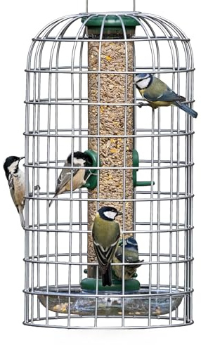 Birdfeeder Guardian Jacobi Jayne - Squirrel-Proof Bird Feeders UK – Hanging Bird Feeder Protection for Small-Bird Feeders for Small Birds Only - Medium, Silver