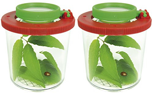 EDUPLAY Lupendose Ø 6 cm, H 7 cm, mit Plastikspinne, Stück:2 Stück