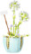 OSDUE Albero Bonsai, 269 Pcs Building Set, Dandelion Modello Bonsai, Hobby Creativi Giocattolo, Oggetti e Decorazioni per la Casa, Regali San Valentino di Natale