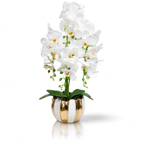 PASCH® XXL Orchideen künstlich in Hochglanz-Keramiktopf (72cm) | Kunstblumen im Topf | Kunstblumen wie echt | künstliche Orchideen im Topf | künstliche Blumen im Topf (Weiß-Gold)
