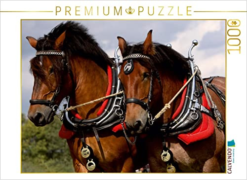 CALVENDO Puzzle Starke Pferde | 1000 Teile Lege-Größe 64 x 48 cm Foto-Puzzle für glückliche Stunden
