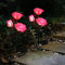 Anordsem Solarlampen Rosen für Außen Gartendeko: Solarleuchten LED Rosa Rosenlichter Wetterfest für Terrasse Deko - Solar Farbwechsel Blumen Lampe für Balkon Zaun Blumenkästen Dekoration