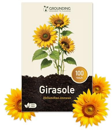 Grounding - Zwerg-Sonnenblume Samen Goldgelb, 100 Samen, Höhe 40–60 cm – Helianthus annuus ideal für Rabatten, Beete und große Töpfe – einfache Aussaat und schnelle Blüte – Europäische Qualität