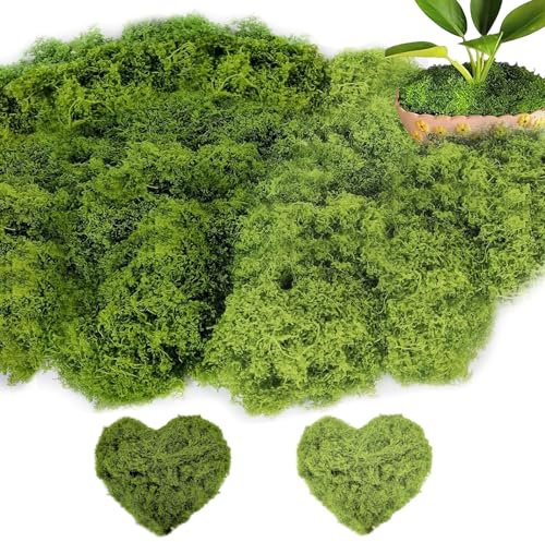 HhBdy Mousse Artificielle pour décorer 200g Fausse Mousse Végétale Mousse Décorative Mousse Stabilisée aux Compositions Florales Plantes artificielles pour Noël et la décoration Murale dans la Maison