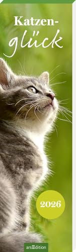 Lesezeichenkalender Katzenglück 2026: Inspirierender Monatskalender im schmalen Hochformat