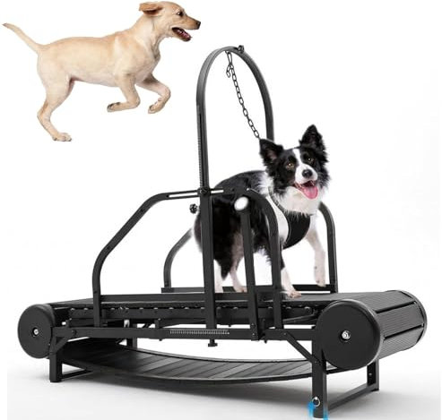 HLGKBY Tapis roulant per Cani di Taglia Grande/Media, Tapis roulant per Cani con rampa Regolabile e contapassi per Esercizi e Vita Sana e in Forma di Animali Domestici, Fino a 300 libbre