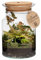 vdvelde.com - Jungle Corky Glas - Ecoworld Flaschengarten mit Farne Pflanze im Glas - Pflanzen Terrarium Glas Ø 13 cm ↥ 20 cm - Mini Ökosystem mit Licht