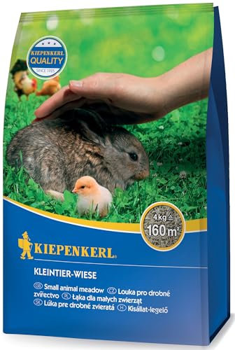 Kiepenkerl Kleintier-Wiese 651654, 4 kg - Rasensamen für Tiere, schnellkeimend, winterhart, ideal für Kleintierrasen, gesunde Frischfutterquelle, hoher Zierwert