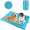 FHTONGE Hundedecke für Unterwegs, 145×100 cm Wasserdicht Hundematte Waschbar Hundekissen für Mittelgroße & Grosse Hunde, Faltbare Reisedecke Hund Camping Veranda Terrasse Outdoor Indoor(Blau)