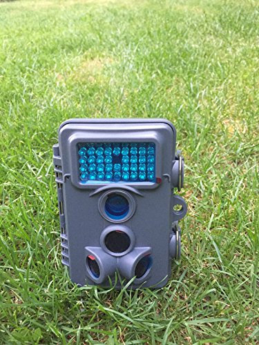 Maginon Wildkamera Überwachungskamera 5 MP WK4HD inklusive Speicherkarte (Grau)