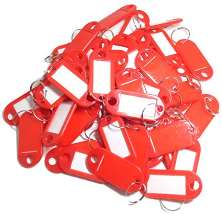 TOOLSTAR Lot de 100 étiquettes d'identification en plastique avec porte-clés pour bagages, nom d'animal domestique (rouge)