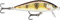 Rapala - Angelköder Countdown Elite - Angelzubehör aus Balsaholz - Süßwasser-Spinnköder - Sinkend - Lauftiefe: 1,2m - Größe: 7,5cm / 10g - Hergestellt in Estland - Gilded Mediterranean Trout