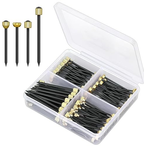 100pcs Clavos de Suspensión de Fotos de con Caja de Almacenamiento, Colgar Cuadros, Herramienta Duradera para Colgar Cuadros y Decoraciones en Paredes de Yeso y Placas de Yeso