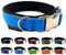 Hundehalsband Softshell unterlegt verstellbar für kleine Hunde & große Hunde S/M/L/XL (L 46cm - 54cm Breite: 35mm, Hellblau)