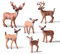 6Pcs Deer Figuren Ornamente Tierfiguren Sammlung Kunststoff Wildtier Lernparty begünstigt Spielzeug - Pädagogische Waldfarm Geburtstag Cupcake Topper für Kinder Handwerk Geschenk