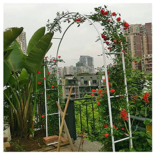 SMYORR Arco da Giardino,Arco Sostegno per Piante Rampicanti,Decorazione Giardino,Garden Pergolas,Metal Garden Arch/White / 193x230x40cm