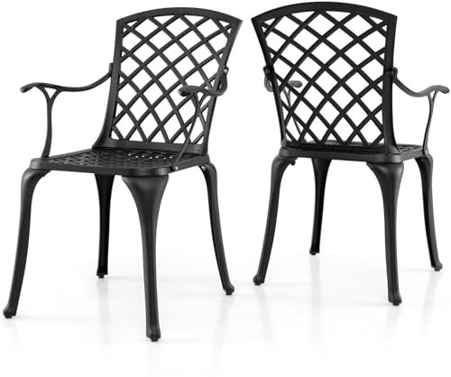 RELAX4LIFE Set di 2 Sedie da Giardino in Alluminio Pressofuso, Sedie da Esterno con Schienale e Braccioli, per Bistrò, Terrazza, Sala da Pranzo, Portata 110 kg (Nero)