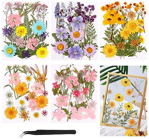 96 Stück Natürliche Getrocknete Blumen, Gepresste Blumen Blätter zum Basteln, Gemischte Gepresste Trockenblumen mit Pinzette, Echte Getrocknete Gepresste Blumen für DIY Kerzen Epoxidharz Handwerk