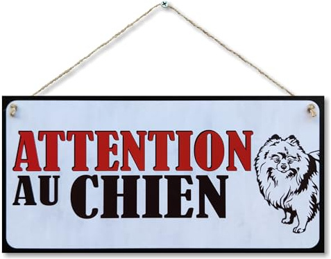 CARISPIBET Attention au chien ! Panneaux d'avertissement pour l'extérieur de votre maison, panneaux d'attention, porte de jardin, maison, plaques de porte 15 x 30cm