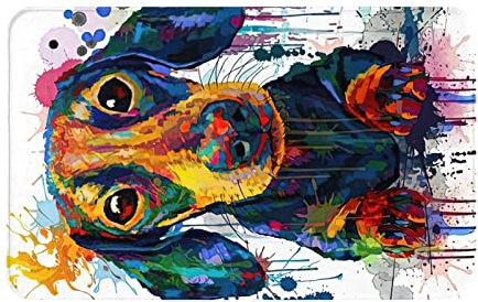 Bath Mat for Bathroom Watercolor Dachshund Art Floor Mat Welcome Mat Bath Rugs,Non-Slip & Absorbent Front Door Mat,Washable Floor Doormat for Entryway,Patio,Porch 16X24 Inch