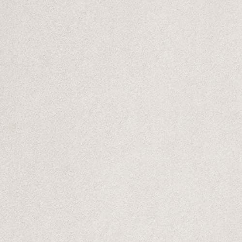 Teppichboden Meterware in 400 cm und 500 cm Breite | Teppich Auslegware in Weiß ideal für Schlafzimmer | Kräuselvelours Rollenware (4 m x 5 m)