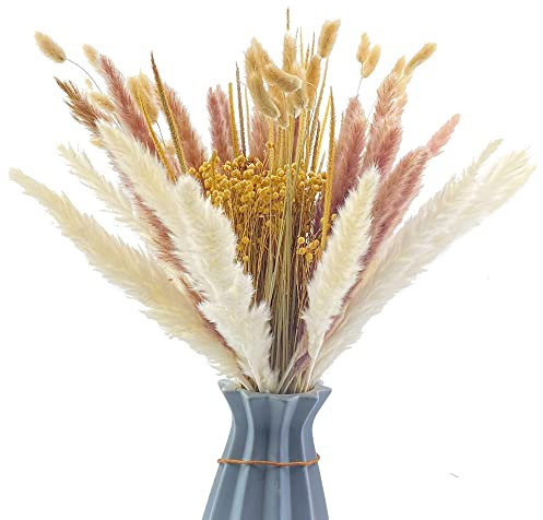 Gvolatee Pampasgras Getrocknet 90 Stück Set Natürliche Trockenblumen Braun Weiß Pampasgras Flauschige WedelTrockenblumen Strauß Dried Flowers Heim Decor
