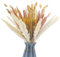 Gvolatee Pampasgras Getrocknet 90 Stück Set Natürliche Trockenblumen Braun Weiß Pampasgras Flauschige WedelTrockenblumen Strauß Dried Flowers Heim Decor