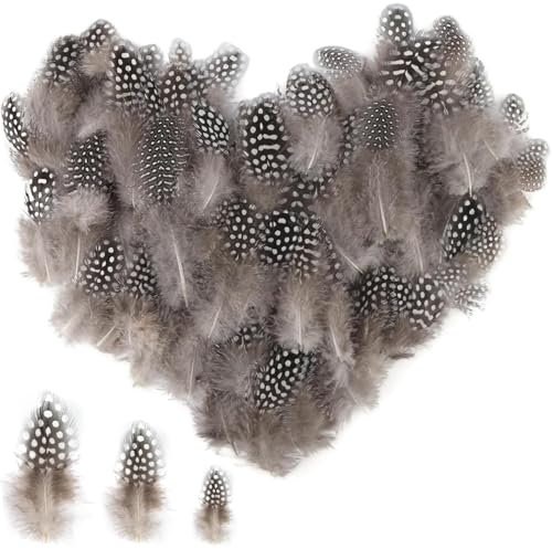 PceGan Perlhuhnfedern, Federn Zum Basteln, 250 Stück 4,5-10 cm Perlhuhnfedern Zum Basteln, Feather für DIY Handwerk Traumfänger Ohrringen Kopfschmuck Federblumen Hochzeit Weihnachten Party Dekoration