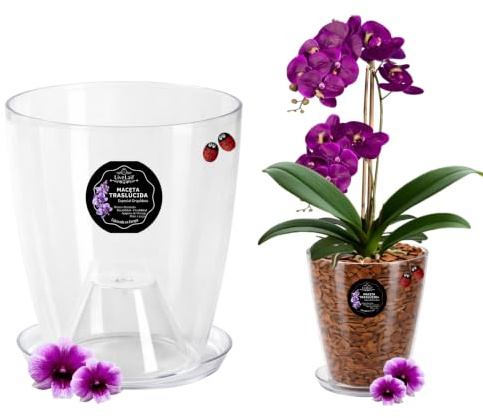 LiveLaif Vaso per Orchidee Trasparente Ø13x15 cm + Sottovaso + Drenaggio