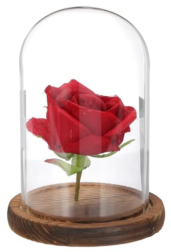 sourcing map Glass Cloche Display Dome, 6.2 x 3.9 Glass Dome Display Case Wood Base Tabletop Jar Case Decorative Bell Jar for Plant Home Decor Office Wedding Party, Wood
