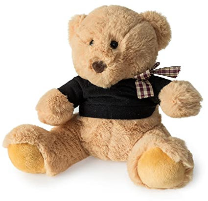Blue Canyon Teddy Bear Doorstop
