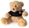 Blue Canyon Teddy Bear Doorstop