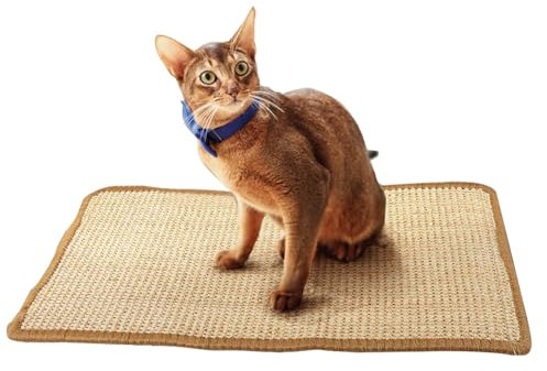 Kratzbretter Katze, Kratzmatte Katze, Natürlich Sisal Kratzteppich Katze, Katzen Kratzmöbel, Katzenkratzer für Innenkatzen, Kratzkissen Boden rutschfest, für Schützt Teppiche und Sofas(30 * 40cm)