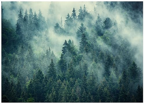 Fototapete Wald im Nebel Bäume Natur Grün 350x250 cm - inkl. Kleister - für Wohnzimmer Schlafzimmer Flur Modern Vlies Tapete Vliestapete Wandtapete Motivtapeten UV-Beständig