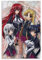 ZBSXLBNG Anime Poster&highschool Dxd Poster Sexy Girls Poster Dekorative Malerei Leinwand Wandkunst Wohnzimmer Poster Schlafzimmer Malerei 12x18inch(30x45cm)