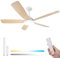 Aigostar Ventilador de Techo con Luz Silencioso 52″, Motor DC Reversible 30W, Mando a Distancia, 6 Velocidades, Luz Regulable (2700K-6500K), Ideal para Dormitorio, Sala o Cocina. Ø132 cm