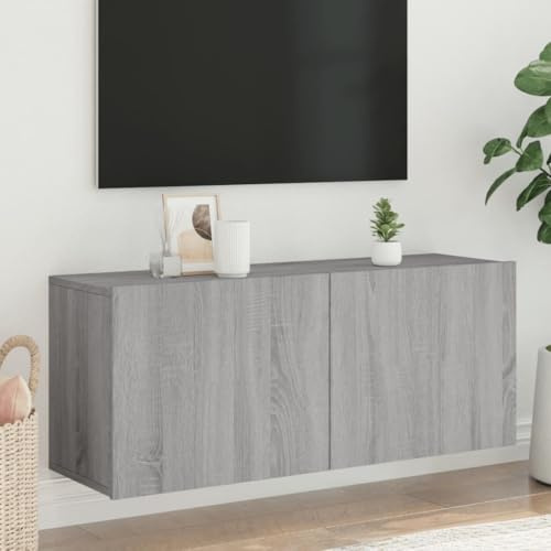 Holamys Meuble TV Mural Sonoma Gris en Bois d'ingénierie 100x30x41 cm, Meuble TV pour Salon, Console TV avec Grand Espace de Rangement, Meuble TV Suspendu Pratique et Durable