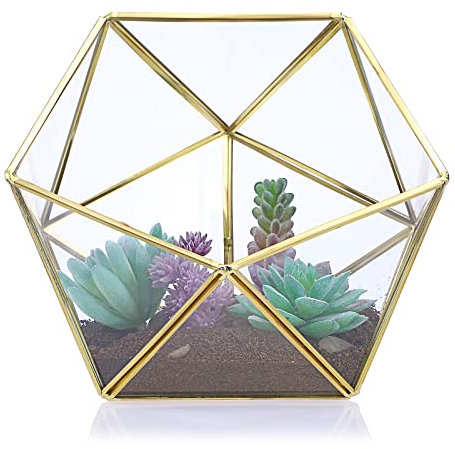 SUMTree Terrarium géométrique en verre doré - Serre décorative pour plantes aériennes, plantes grasses, mousse, fougère, dosette de café/thé - Récipient miniature de jardin féérique - Pentadecèdre