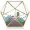 SUMTree Terrarium géométrique en verre doré - Serre décorative pour plantes aériennes, plantes grasses, mousse, fougère, dosette de café/thé - Récipient miniature de jardin féérique - Pentadecèdre