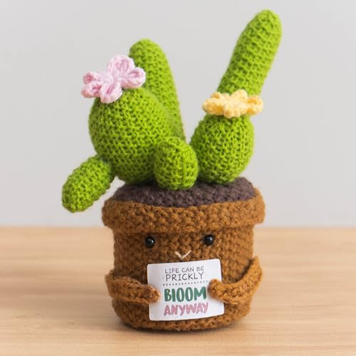 Generisch Häkelblumen Kaktus, Gestrickte Blumen, Gehäkelte Glücksbringer für Lehrer & Kollegen zum Abschied, Geburtstag & Abschluss (Kaktus 3)