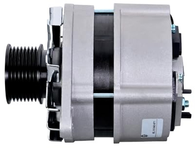 HELLA 8EL 015 643-971 Generator/Lichtmaschine - 12V - 100A - für u.a. McCormick X5.20