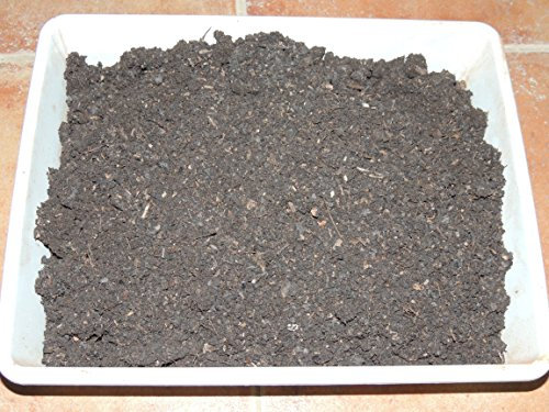 Lana y Telar Vaina de Nuez, Tinte Natural 100% para Hilos y Fibras Naturales. 1 Kg.